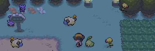 Turtleisaac's profile banner image