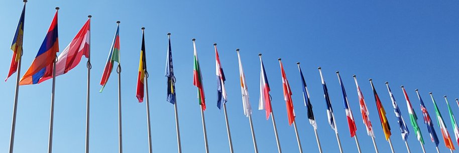 Sport Development & Politics @ GSU banner