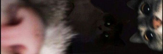 🍧 | mt after dm♡ banner