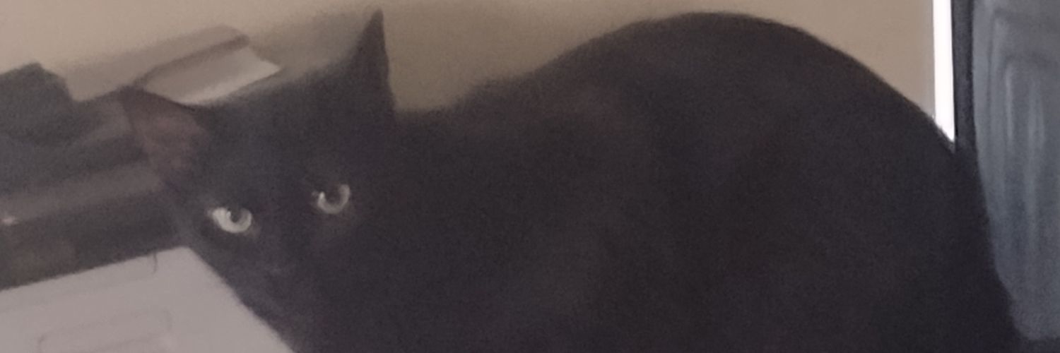 digupstuff's profile banner image