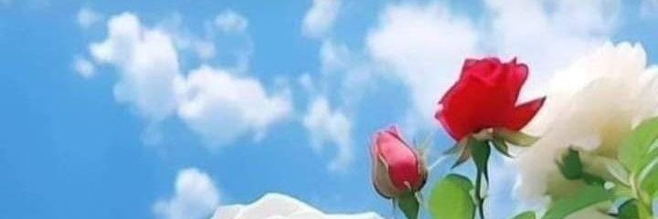 kadi57086's profile banner image