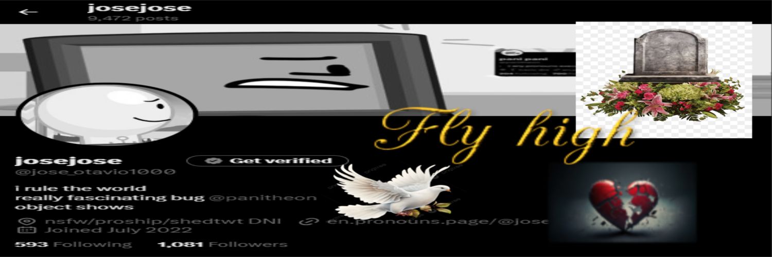 pani of josetwt banner