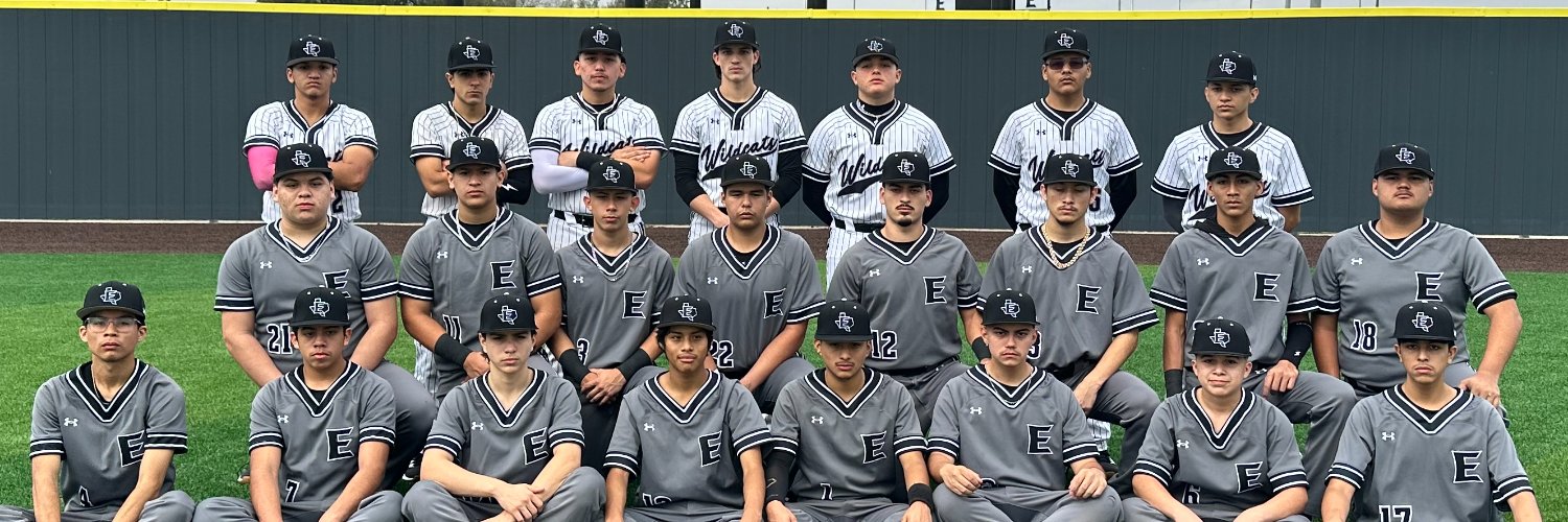 Weslaco East Wildcat Baseball banner