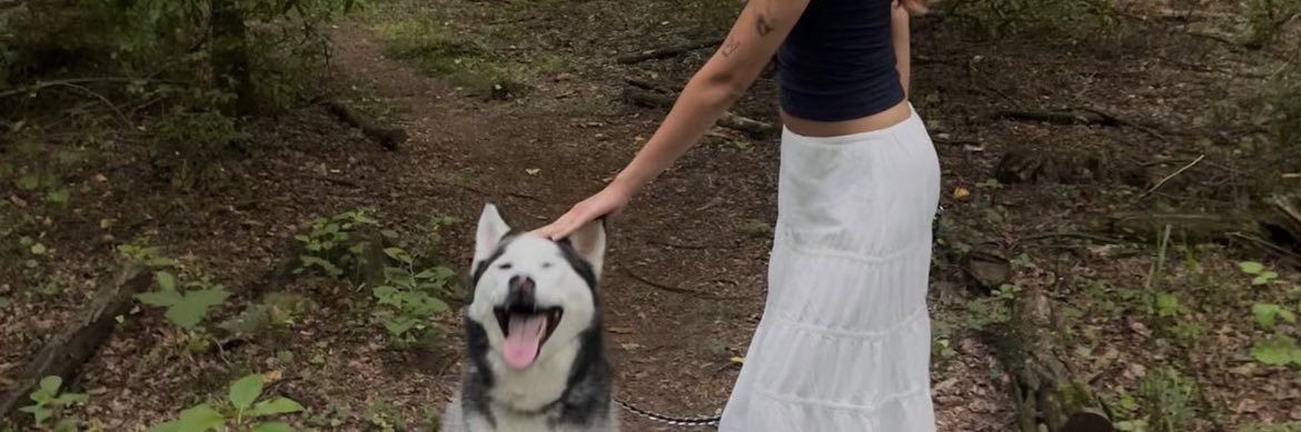 iamlisapizza's profile banner image