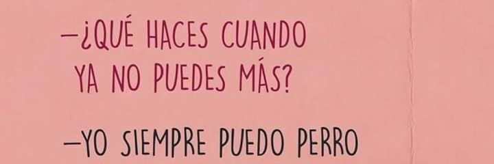 Vanessa Medrano Rico banner