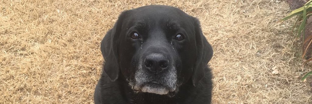 tbow4453's profile banner image