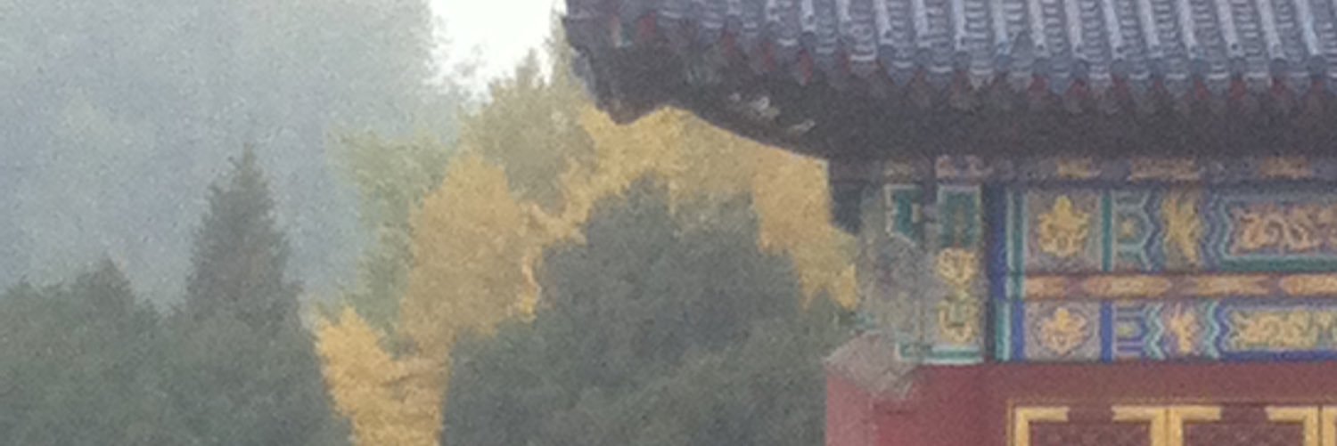 govela banner