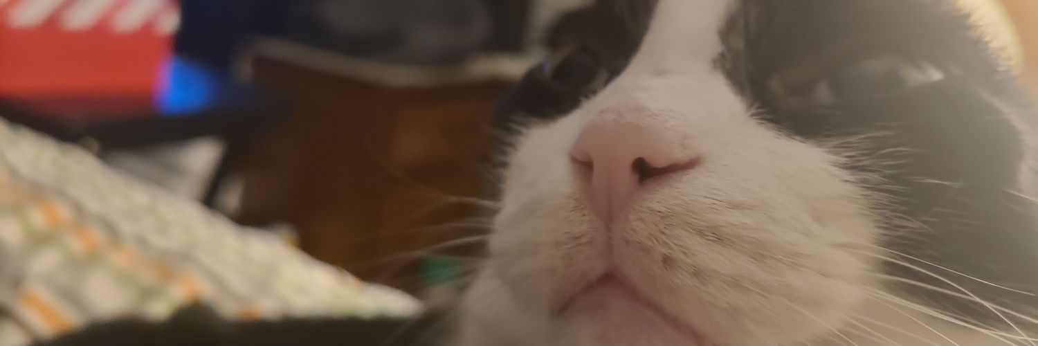 beanbearrito's profile banner image