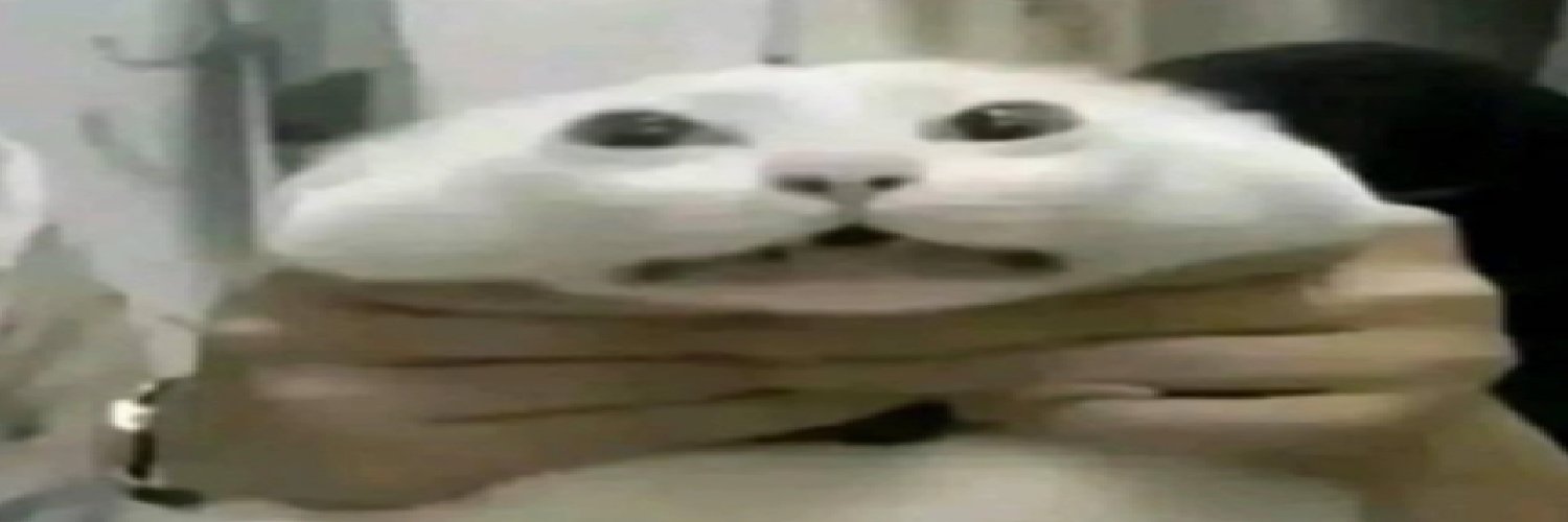 NomerPrime's profile banner image