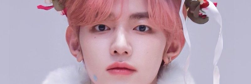 🐬 banner