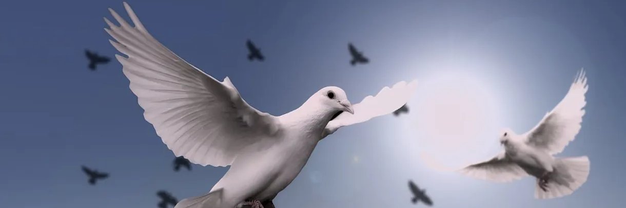AdrianCHESA's profile banner image