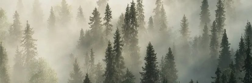 BeckerBitch's profile banner image