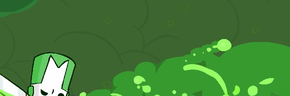 brush_leaf's profile banner image