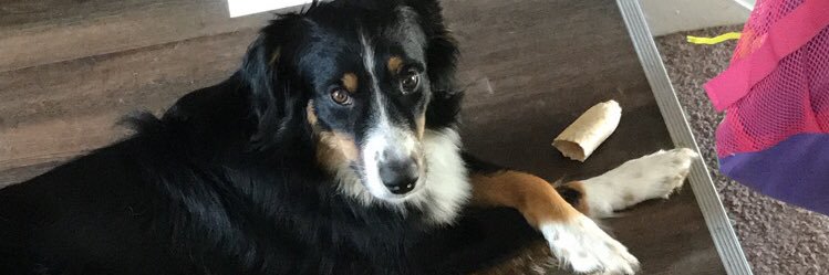 jakecrail03's profile banner image