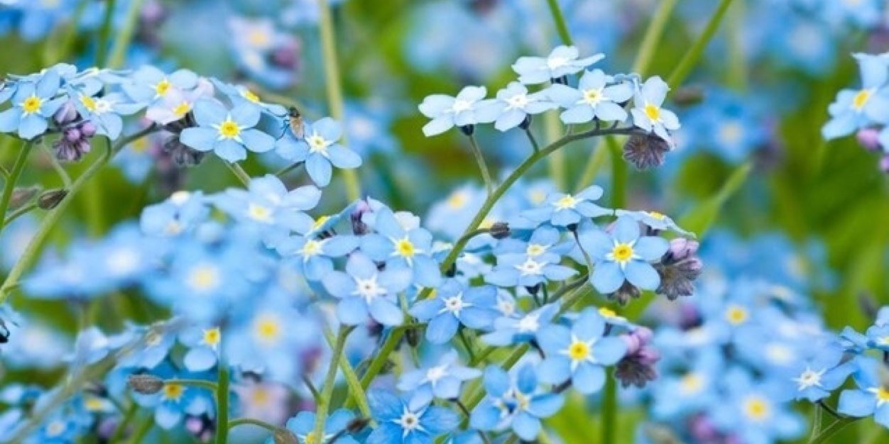 natisendraf's profile banner image