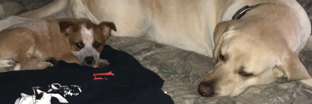 ashleygaither95's profile banner image
