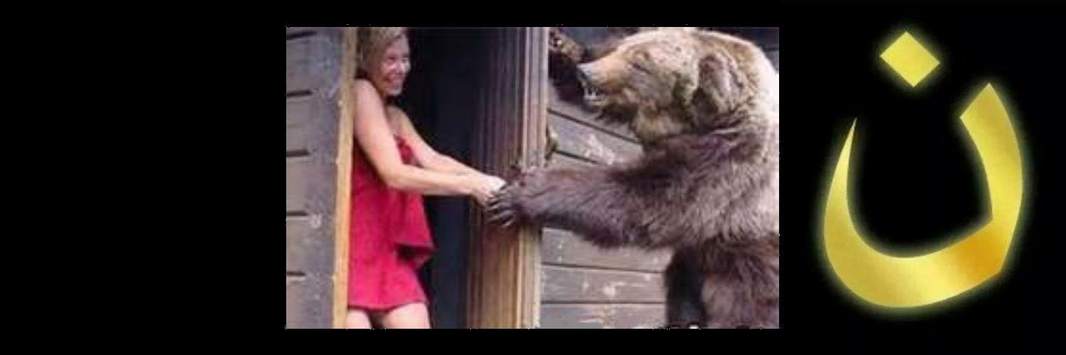 aFriendlyBear's profile banner image