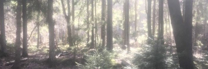 riizzirafa's profile banner image