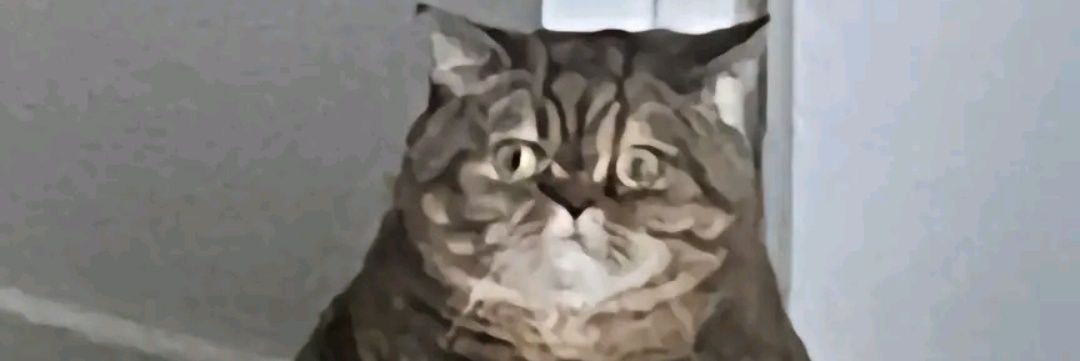 fareli köyün kavalcısı banner