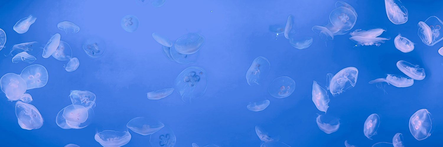 daikeychan's profile banner image