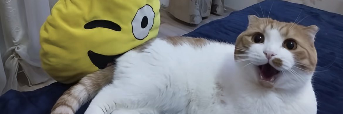 flipsiies's profile banner image