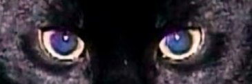MarkanKamaran's profile banner image