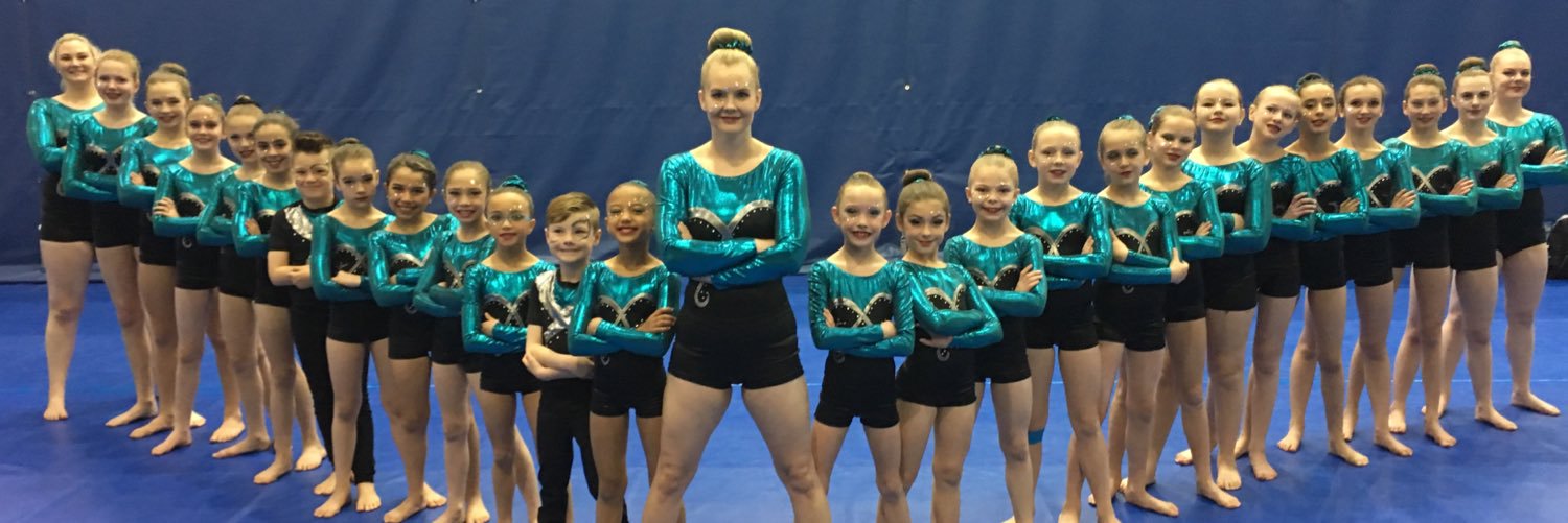 EdmontonAcro's profile banner image