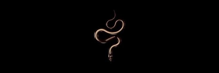 DRIPPINVENOM's profile banner image