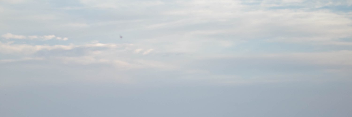 vallynestico's profile banner image