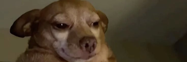 w00drat's profile banner image