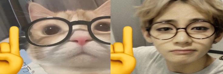 romlvstae's profile banner image