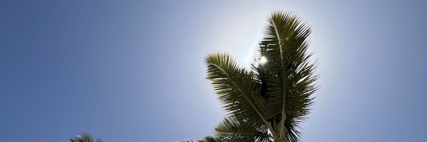 elainepadilla_'s profile banner image
