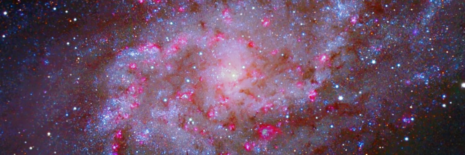 Le Vomi De Cochon banner