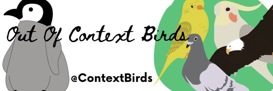 Out of Context Birds's banner