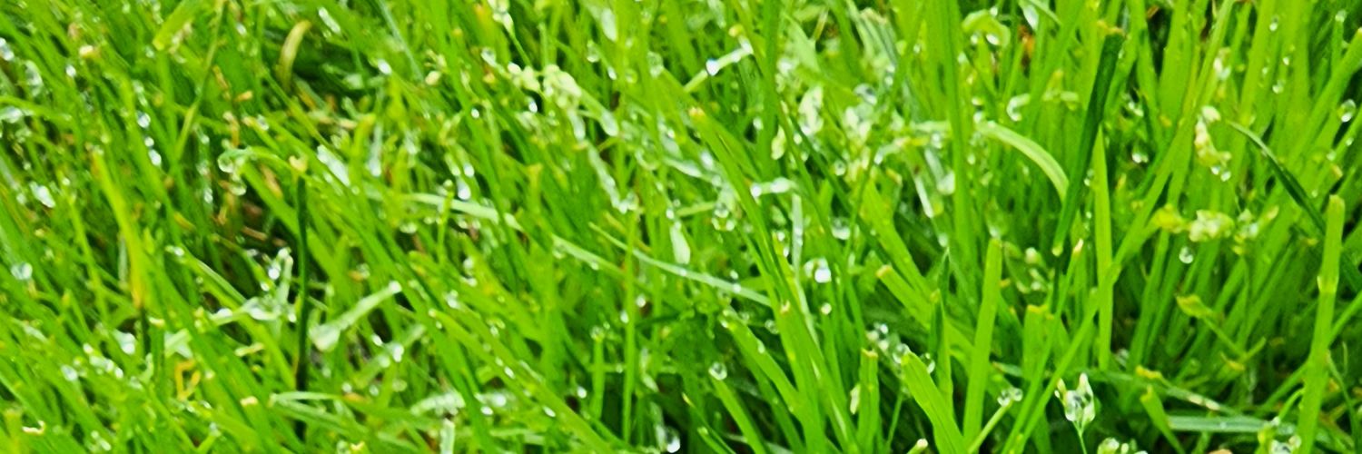 AlbertEv1's profile banner image