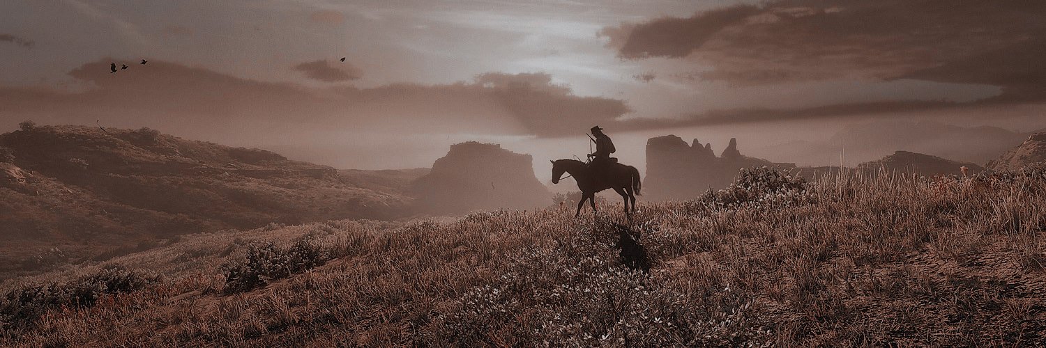 desiertodorado's profile banner image