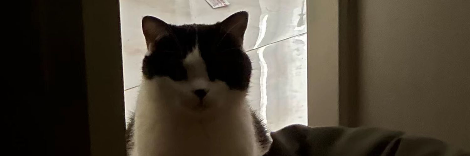 beibei73356's profile banner image