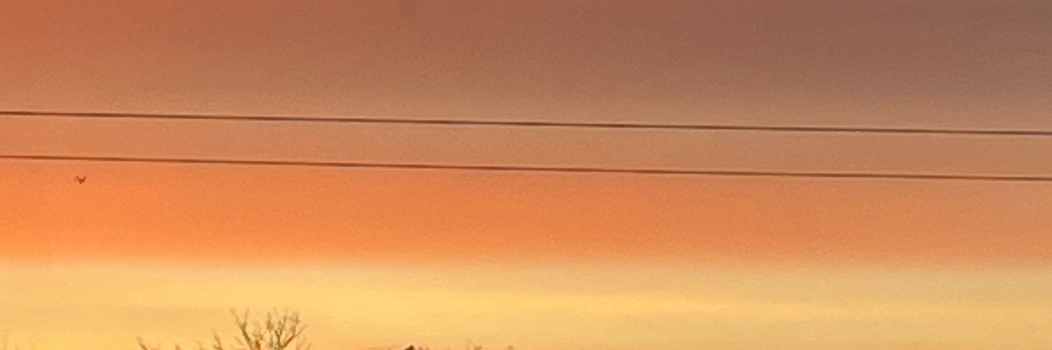 hannah 🤭 banner