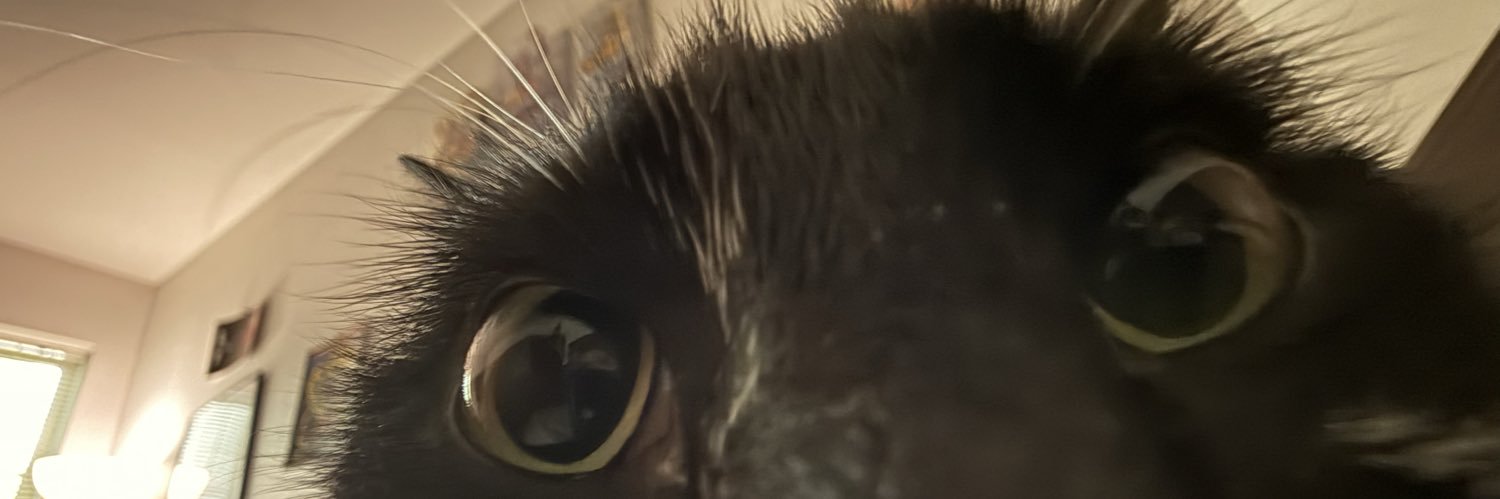 CAhlmark's profile banner image