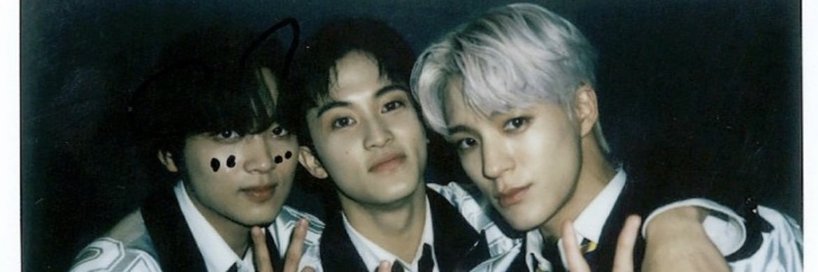 Team_Lee__'s profile banner image