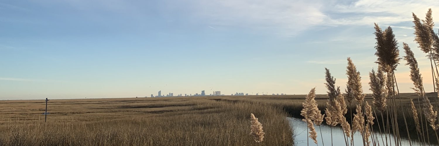 jillmfarq's profile banner image