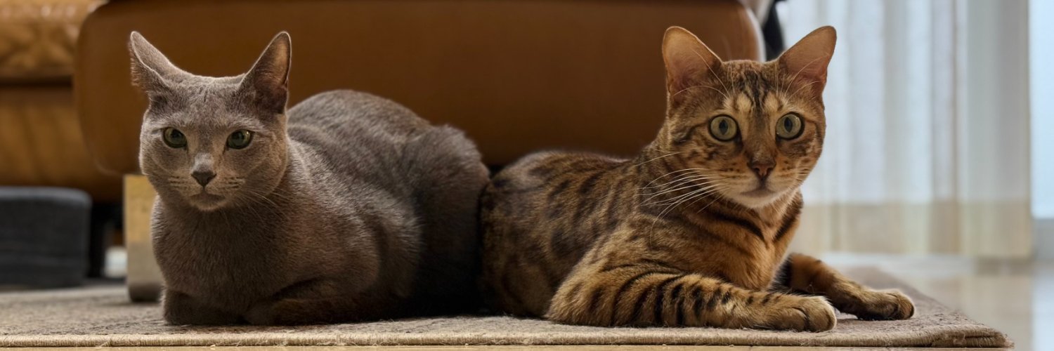 PanMinori's profile banner image