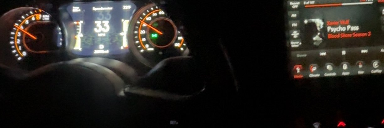 Asher banner