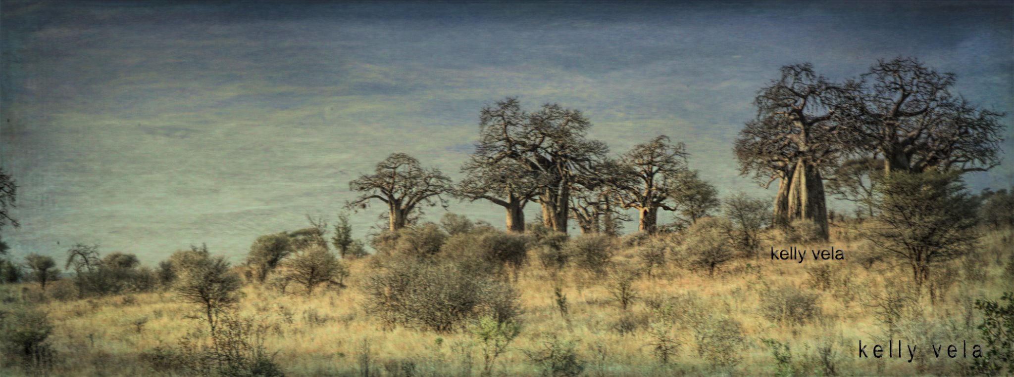 dosvelas's profile banner image