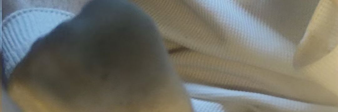 JilK279's profile banner image