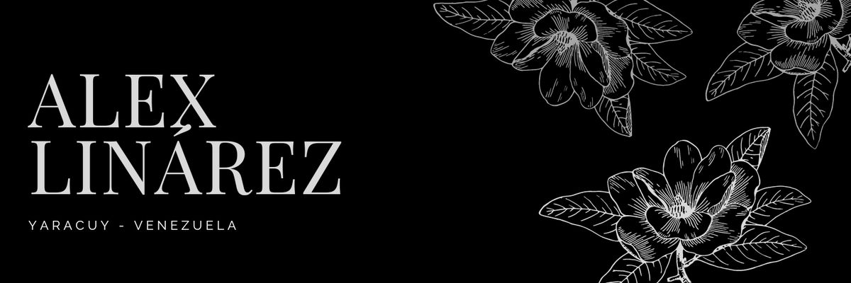 Alex_LLZ's profile banner image