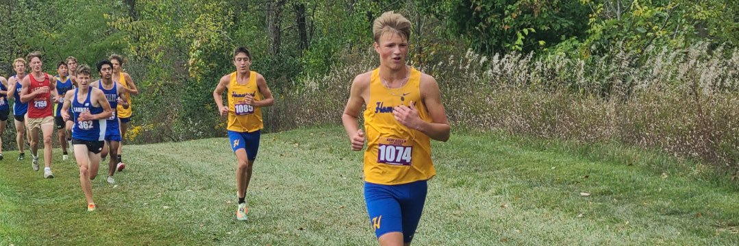 Alex MacDonald banner