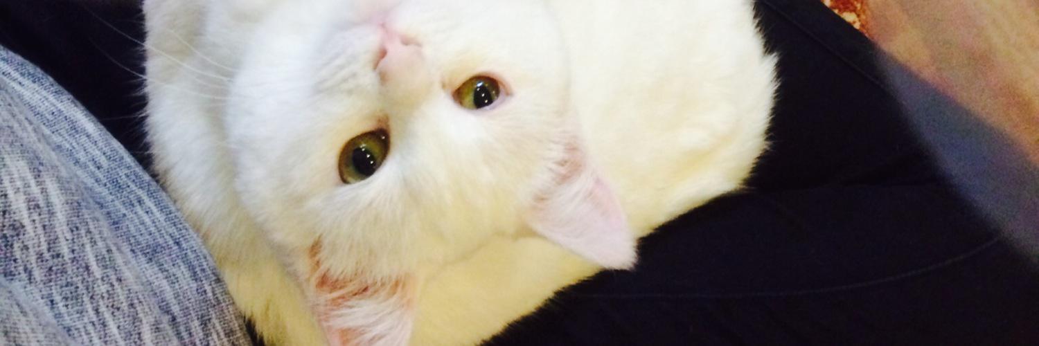 nyankuru's profile banner image