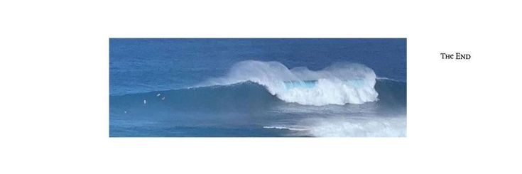 s banner
