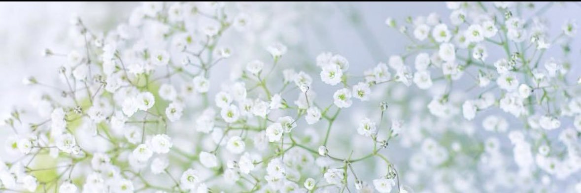 miniret_'s profile banner image